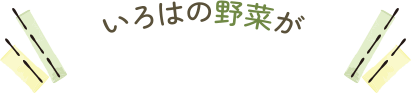 いろはの野菜が