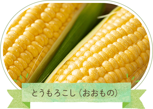 とうもろこし（おおもの）