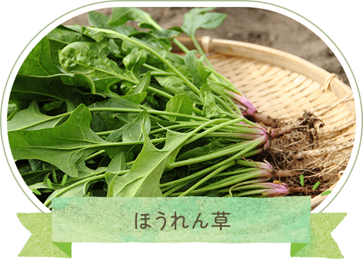 ほうれん草